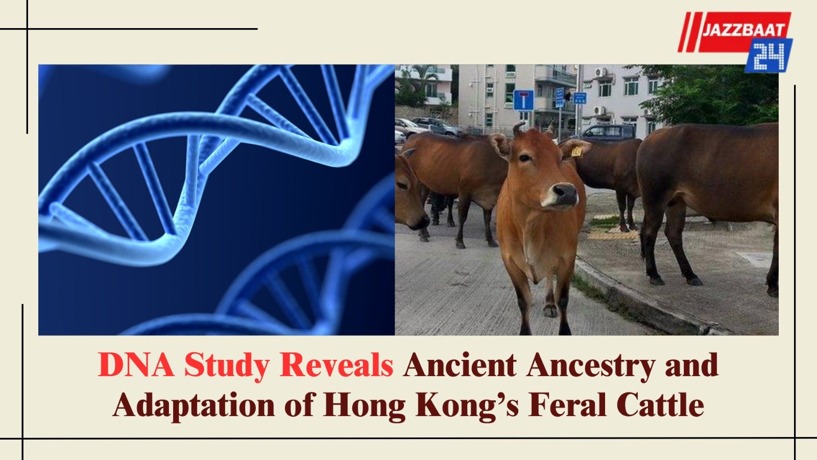DNA Study Reveals Ancient Ancestry and Adaptation of Hong Kong’s Feral Cattle