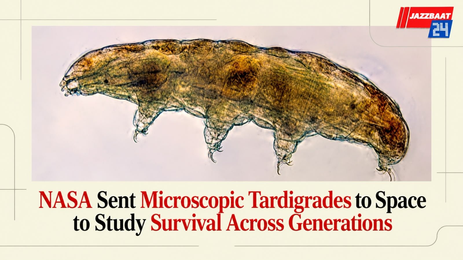 NASA Sent Microscopic Tardigrades to Space to Study Survival Across Generations